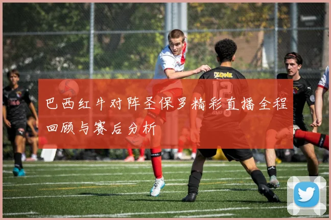 巴西红牛对阵圣保罗精彩直播全程回顾与赛后分析
