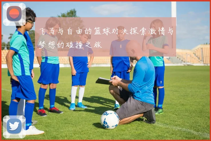 飞马与自由的篮球对决探索激情与梦想的碰撞之旅