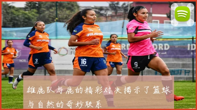 雄鹿队与鹿的精彩对决揭示了篮球与自然的奇妙联系