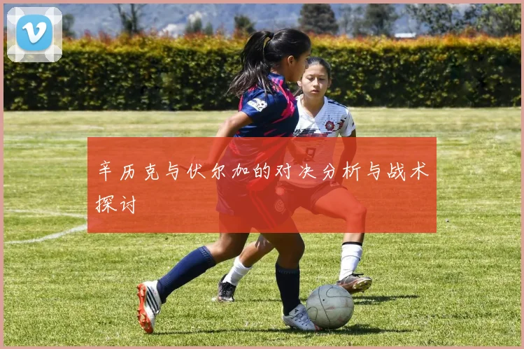辛历克与伏尔加的对决分析与战术探讨