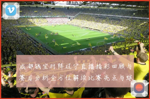 成都钱宝对阵辽宁直播精彩回顾与赛后分析全方位解读比赛亮点与球员表现
